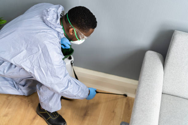 Best Pest Prevention Services  in Hammond, WI